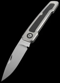 W.F. Steenkamp Custom Pointer Carbon Fibre 9 W.F. Steenkamp Custom Pointer Carbon Fibre -GearNest Shop 35cus204 81348.1655799153.1280.1280 94221.1664546127