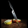 Samura Modern Chef's Knife Reptile