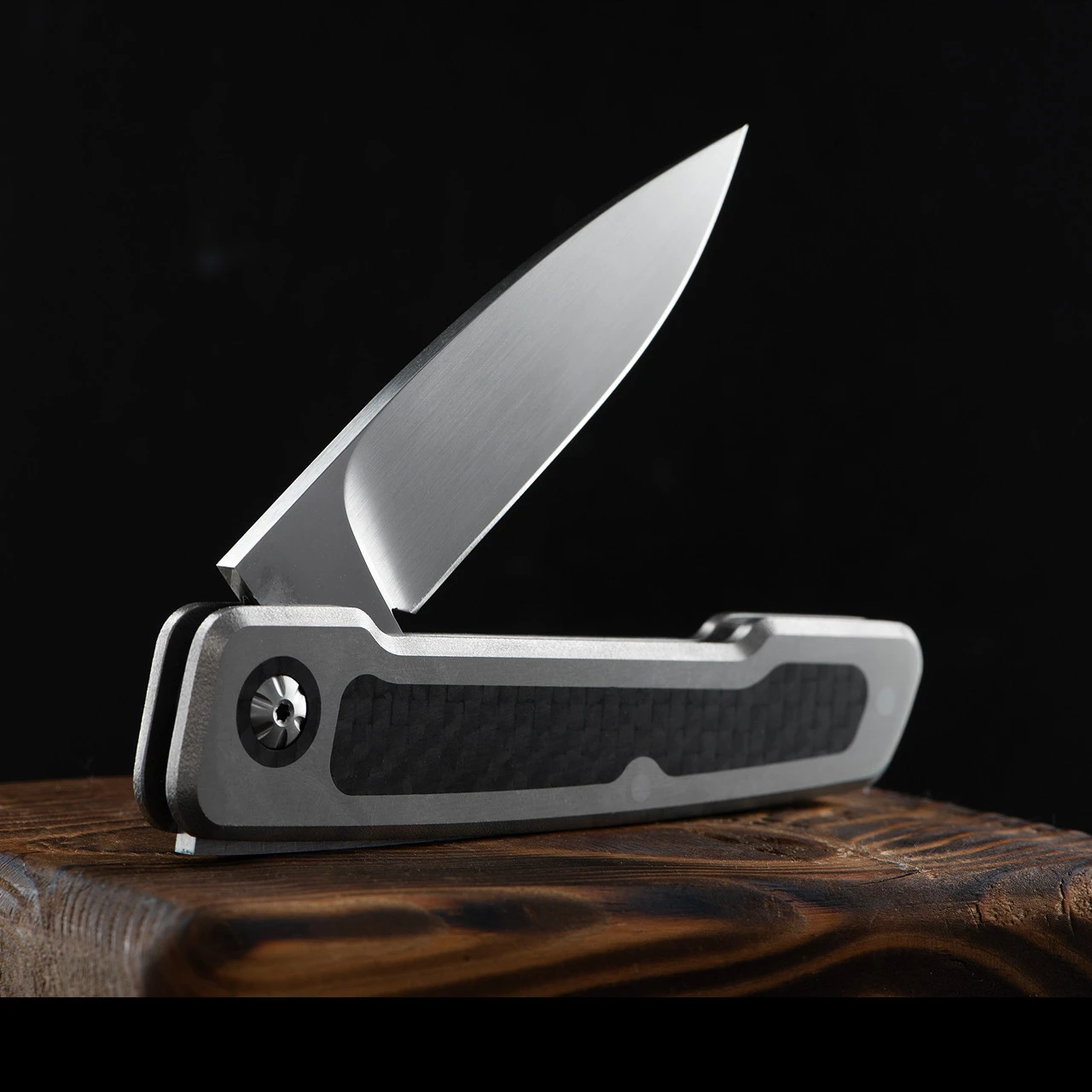 W.F. Steenkamp Custom Pointer Carbon Fibre 1 W.F. Steenkamp Custom Pointer Carbon Fibre