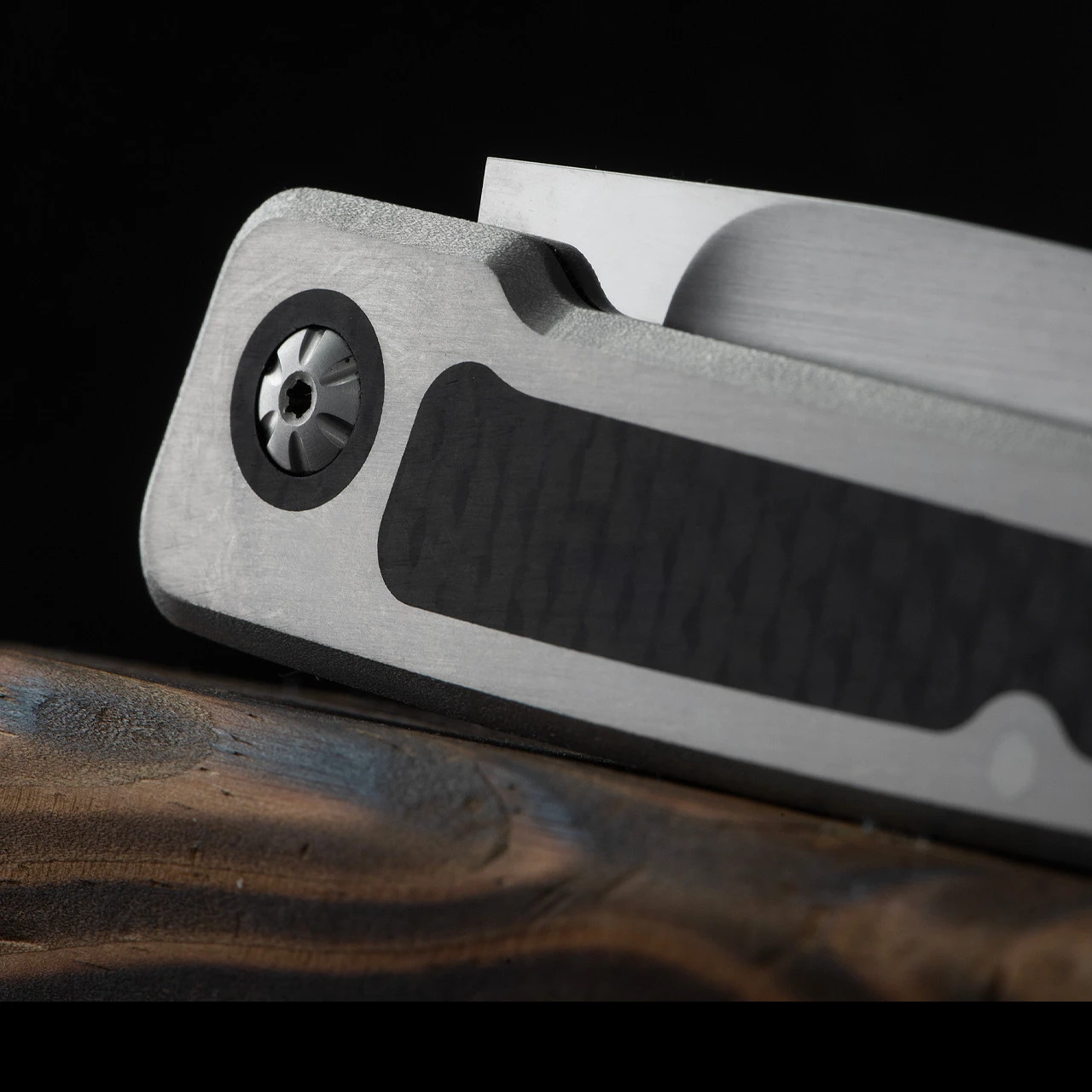 W.F. Steenkamp Custom Pointer Carbon Fibre 3 W.F. Steenkamp Custom Pointer Carbon Fibre - Image 3