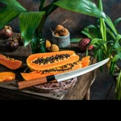 Samura Okinawa Slicing Tanto -GearNest Shop tc so 0146tdet6 69051.1587419957