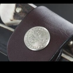 Boker Arbolito Salida Stag Fixed Blade 8 Boker Arbolito Salida Stag Fixed Blade -GearNest Shop 03ba501hhdet4 60301.1587413265