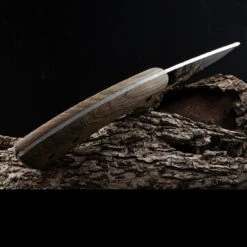 BeaverCraft Bushcraft Black Oak Fixed Blade -GearNest Shop BEAVC BSH1.1 77382.1636625660.1280.1280 99881.1636639888