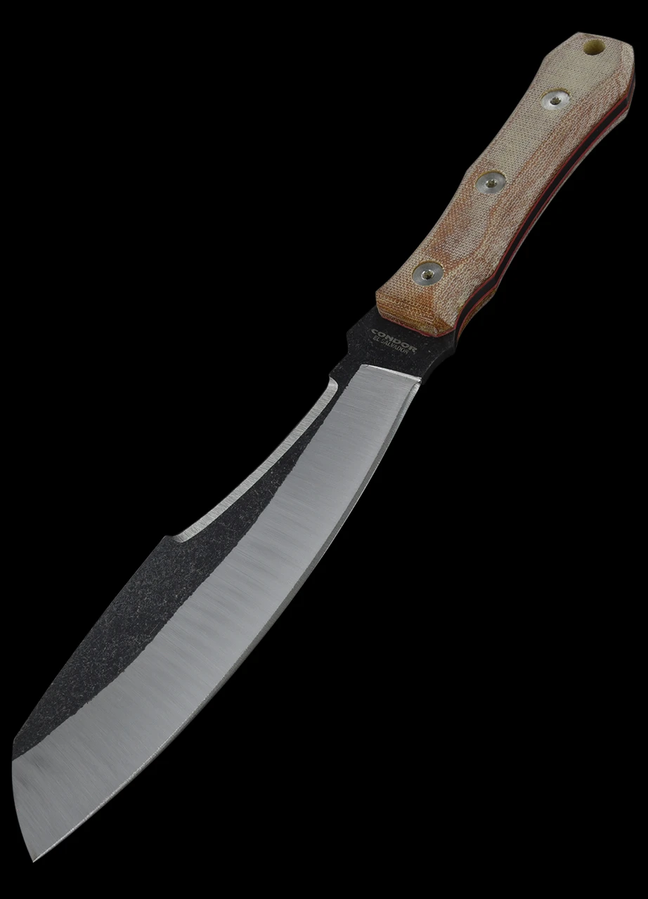 Condor Mountain Pass Surveyor 1 Condor Mountain Pass Surveyor