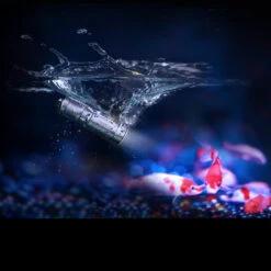 Fenix E02R -GearNest Shop FENIX E02R BRWdet3 32938.1612446444