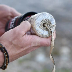 Rapid Rope Canister -GearNest Shop RRPC6010det5 05809.1640877901