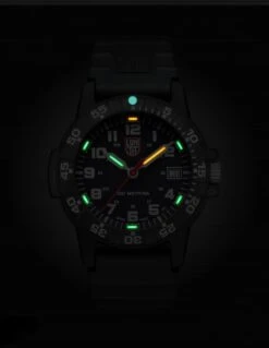 Luminox Leatherback Sea Turtle 0301 12 Luminox Leatherback Sea Turtle 0301 -GearNest Shop bmc xs0301l 31331.1652437316