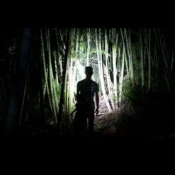 Fenix HL40R -GearNest Shop fenix hl40rdet7 37384.1587408221